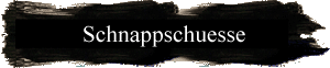 Schnappschuesse